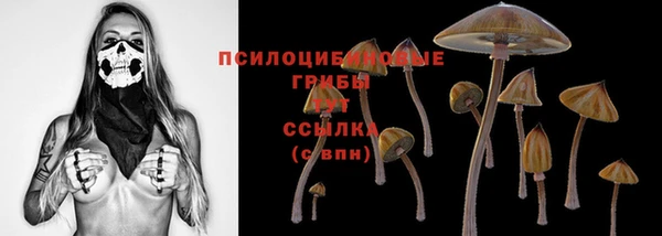 mdpv Бугульма