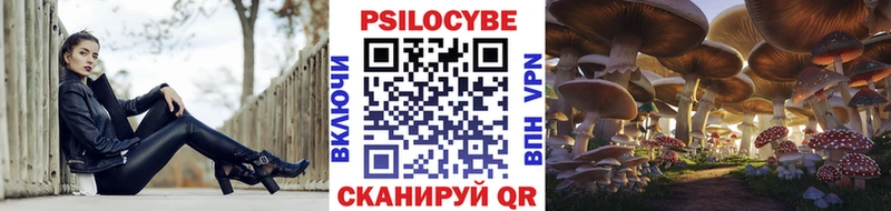 Псилоцибиновые грибы Cubensis Рязань