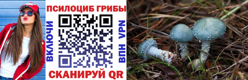 что такое   Рязань  hydra ONION  Псилоцибиновые грибы мухоморы 